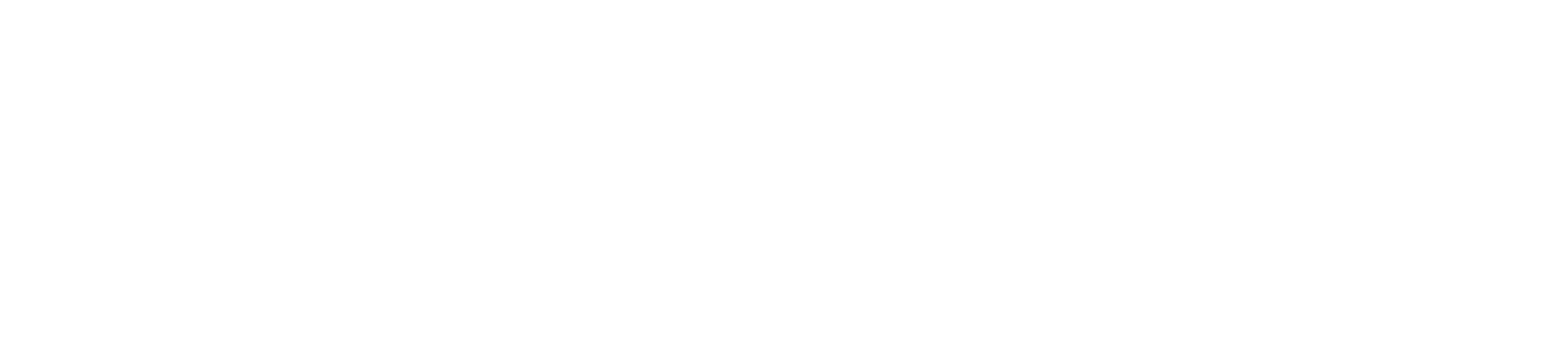 NewSoles Onboarding Logo